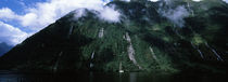 Fiordland, South Island, New Zealand by Panoramic Images
