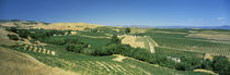 Napa Valley, Napa County, California, USA by Panoramic Images