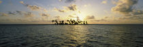 Laughing Bird Caye, Victoria Channel, Belize by Panoramic Images