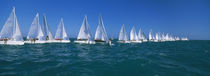 Sailboat racing in the ocean, Key West, Florida, USA by Panoramic Images