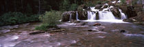 Waterfall in a forest, US Glacier National Park, Montana, USA von Panoramic Images