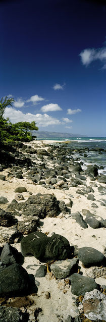 Rocks on the beach, Leftovers Beach Park, North Shore, Oahu, Hawaii, USA von Panoramic Images