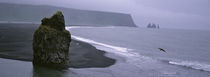 Rock Formation On The Beach, Reynisdrangar, Vik I Myrdal, Iceland by Panoramic Images
