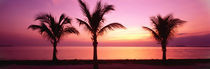 Miami Beach, Florida, USA by Panoramic Images