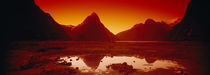 Milford Sound, Fiordland National Park, South Island, New Zealand by Panoramic Images