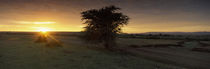 Sunset over a landscape, Masai Mara National Reserve, Great Rift Valley, Kenya by Panoramic Images