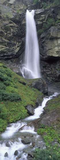 Waterfall in a forest, Sass Grund, Switzerland by Panoramic Images