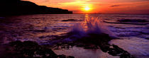 Wave Breaking On Rocks, Bempton, Yorkshire, England, United Kingdom by Panoramic Images