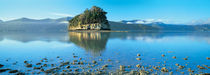 Marlborough Sound, New Zealand by Panoramic Images