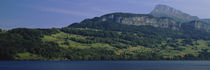 Trees on mountains, Lake Lucerne, Switzerland von Panoramic Images