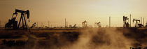 Oil drills in a field, Maricopa, Kern County, California, USA by Panoramic Images