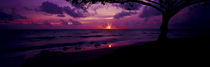 Sunrise over the sea, Pounders Beach, Oahu, Hawaii, USA von Panoramic Images
