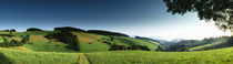 Panoramic view of a landscape, St Margen, Schwarzwald, Germany von Panoramic Images