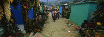 Houses Decorated With Flowers, Zunil Cemetery, Guatemala by Panoramic Images