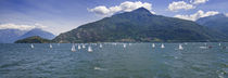 Sailboats in the lake, Lake Como, Como, Lombardy, Italy von Panoramic Images