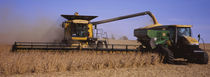 Combine harvesting soybeans in a field, Minnesota, USA by Panoramic Images