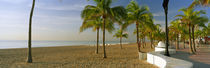 Palm trees on the beach, Las Olas Boulevard, Fort Lauderdale, Florida, USA by Panoramic Images