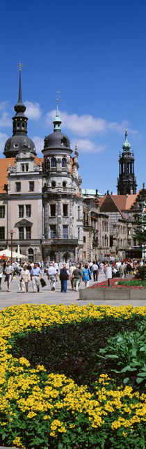 Old Town, Dresden, Germany by Panoramic Images