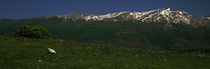 Apennines, Umbria, Italy by Panoramic Images
