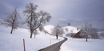 Panorama Print - Schweiz, Linden auf schneebedeckter Landschaft  von Panoramic Images