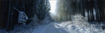 Road, Hochwald, Germany von Panoramic Images