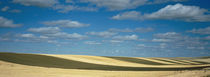 Clouded sky over a striped field, Geraldine, Montana, USA by Panoramic Images