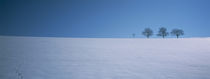 Footprints on a snow covered landscape, St. Peter, Schwarzwald, Germany von Panoramic Images