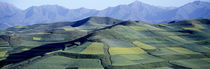 Fields, Farm, Qinghai Province, China von Panoramic Images