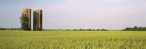 USA, Arkansas, View of grain silos in a field by Panoramic Images
