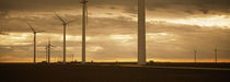 Wind turbines in a field, Amarillo, Texas, USA by Panoramic Images