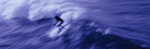 High angle view of a person surfing in the sea, USA von Panoramic Images