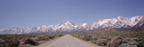 USA, California, Sierra Nevada, Bushes on both sides of a road von Panoramic Images