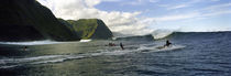 Surfers in the sea, Hawaii, USA von Panoramic Images