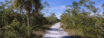 J.N. Ding Darling National Wildlife Refuge, Sanibel Island, Florida, USA by Panoramic Images