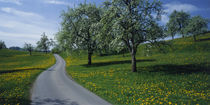 Switzerland, Zug, road by Panoramic Images