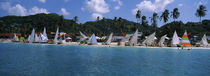 Sailboats on the beach, Grenada Sailing Festival, Grand Anse Beach, Grenada von Panoramic Images
