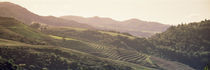 Sonoma County, California, USA by Panoramic Images