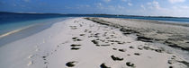 Footprints on the beach, Cienfuegos, Cienfuegos Province, Cuba von Panoramic Images