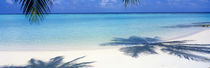 Laguna Maldives von Panoramic Images