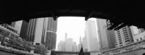 Low angle view of buildings, Chicago, Illinois, USA by Panoramic Images