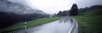 Wet highway passing through a forest, Austria by Panoramic Images