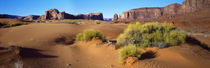 Wide angle view of Monument Valley Tribal Park, Utah, USA by Panoramic Images