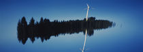 Reflection Of A Wind Turbine And Trees On Water, Schwarzwald, Germany von Panoramic Images