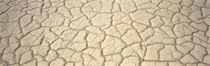 Dried Mud Death Valley CA USA by Panoramic Images