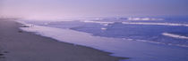Surf on the beach, Santa Monica, Los Angeles County, California, USA by Panoramic Images