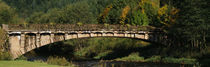 Bridge in a forest, Schwarzwald, Germany von Panoramic Images