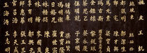 Close-up of Chinese ideograms, Beijing, China by Panoramic Images
