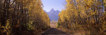 Teton County, Wyoming, USA by Panoramic Images