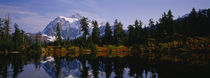 Mt Rainier National Park, Washington State, USA by Panoramic Images