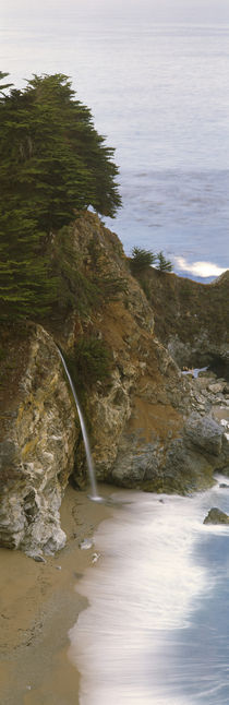 Julia Pfeiffer Burns State Park, Monterey County, Big Sur, California, USA by Panoramic Images
